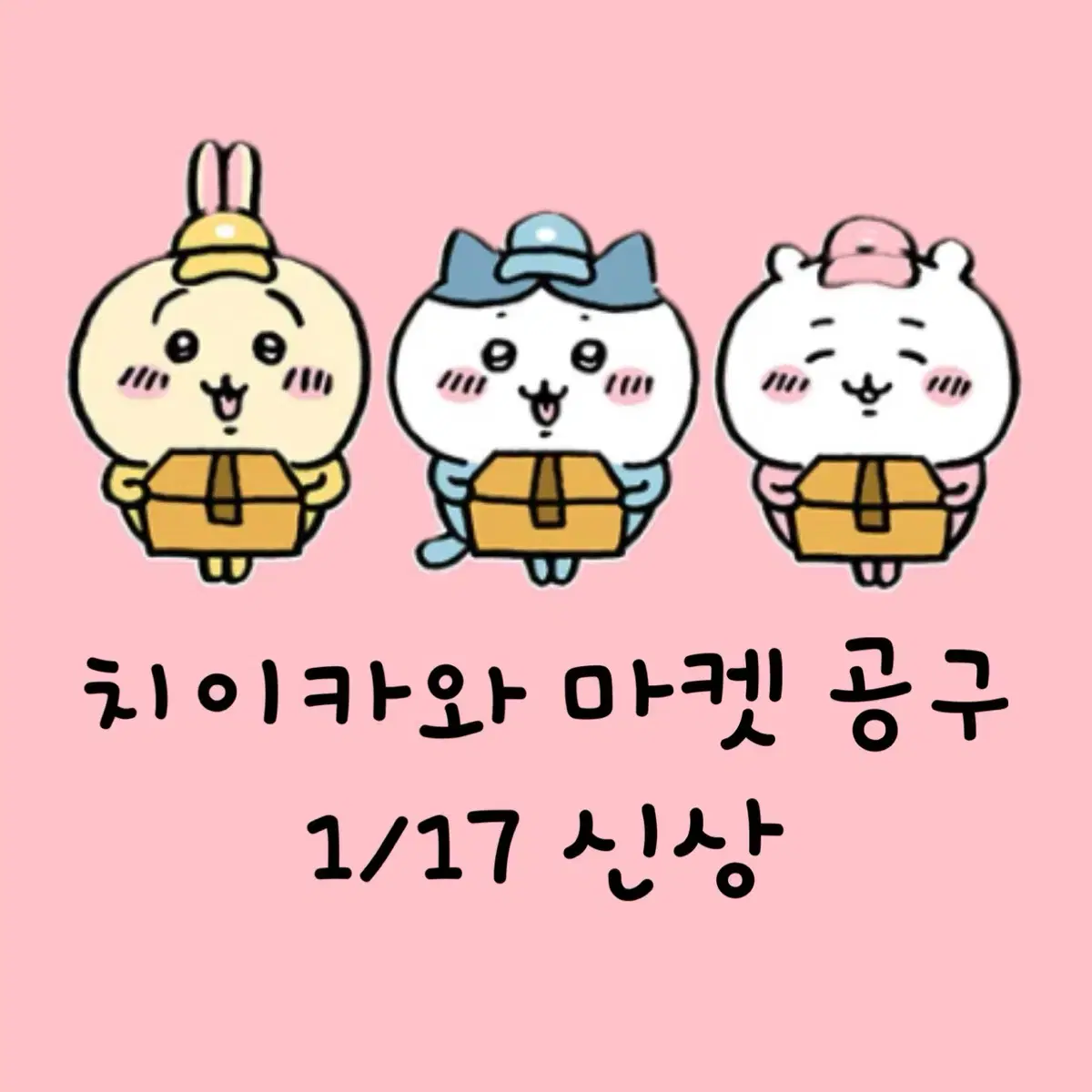 치이카와 공구 1/17 신상