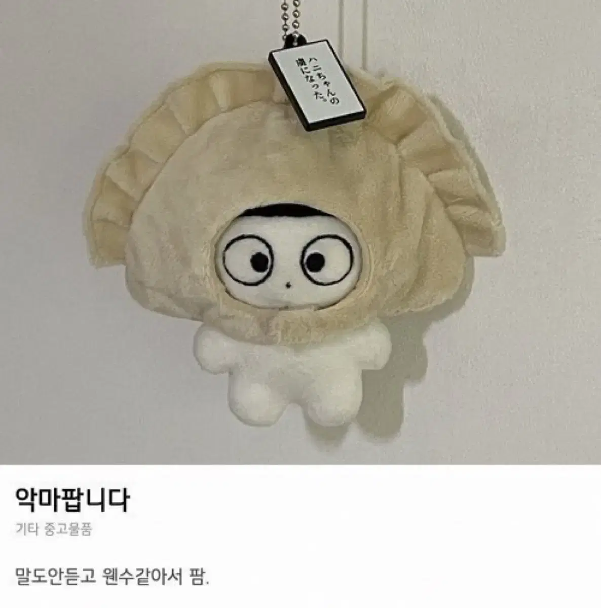 뉴진스 하니 팜팜군 인형 양도