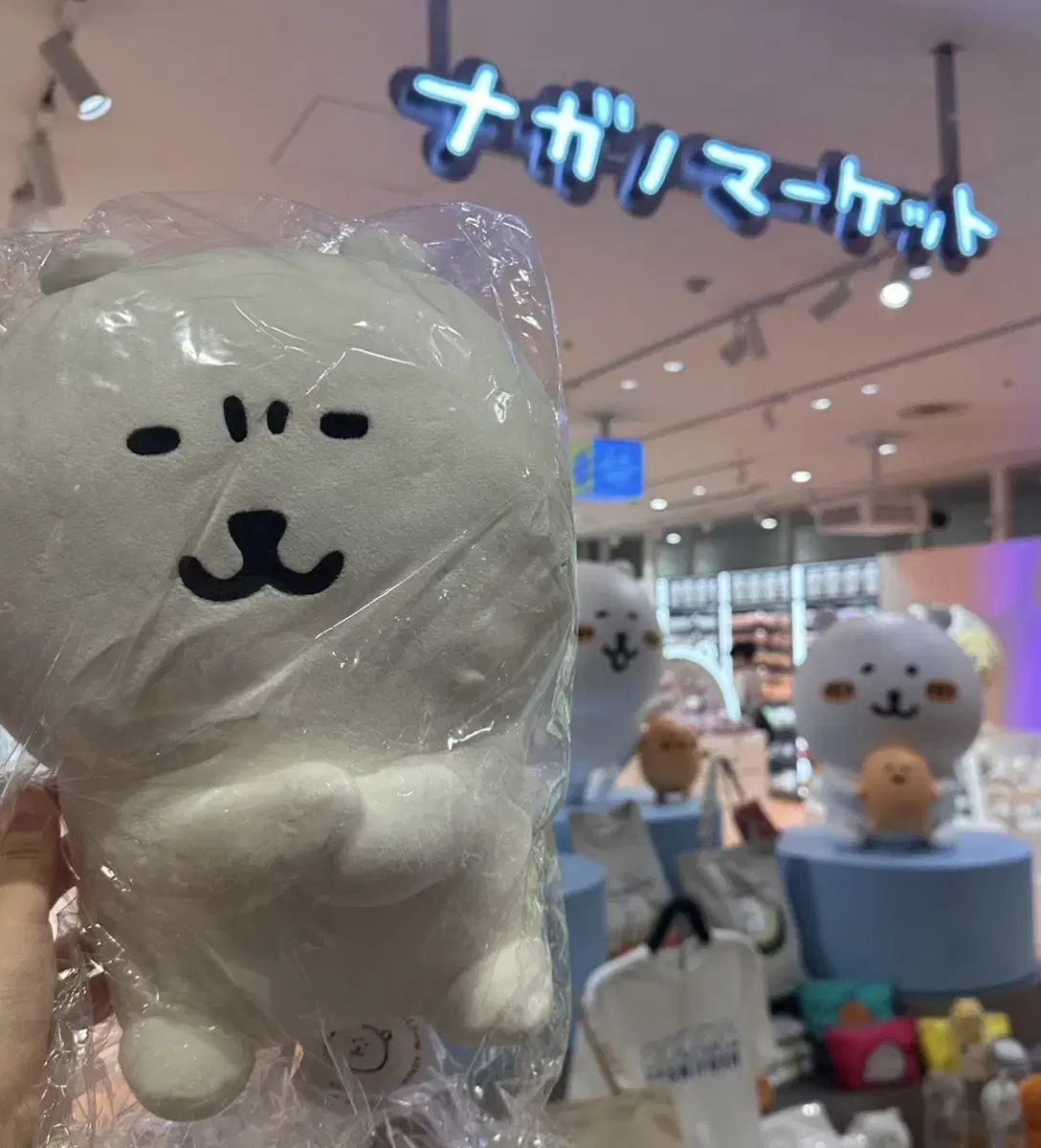 나가노마켓 쿠지 2등상 농담곰(미간곰) 인형