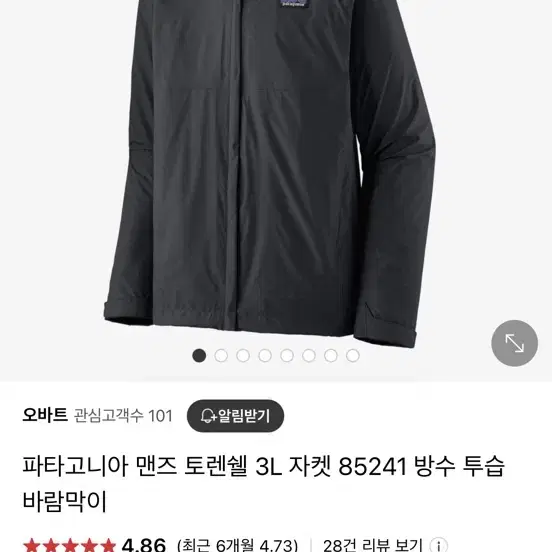 파타고니아 토렌쉘 L 맨즈