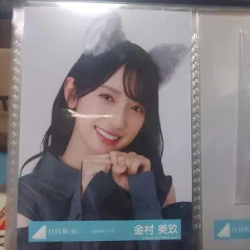 카네무라 미쿠 고양이 귀 포트레이트 사진
