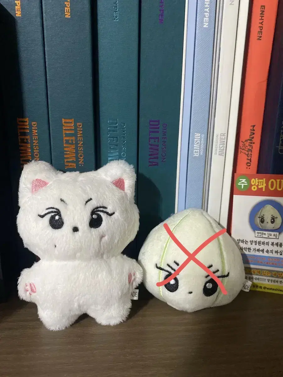 Yang kkomi, yang jungwon (onion) enhypen yang jungwon doll WTS!!!