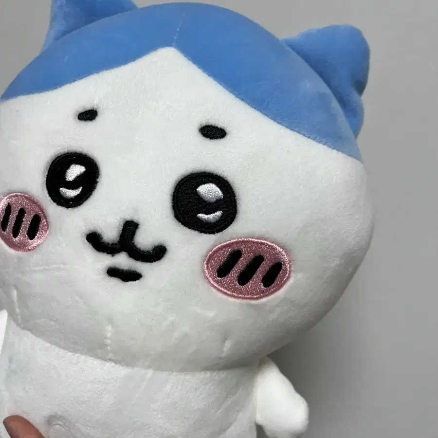 먼작귀 하치와레 봉제인형 25cm 치이카와