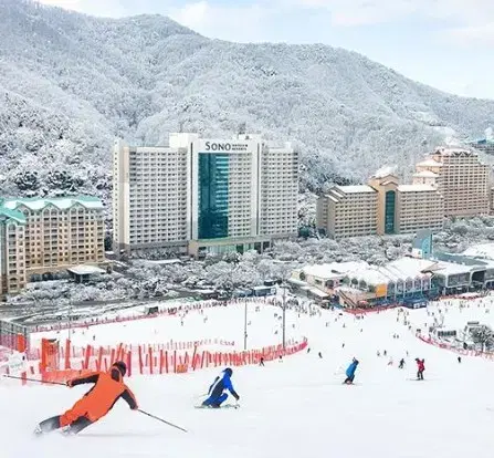 비발디파크 4시간 주중리프트권(장비렌탈 추가가능)