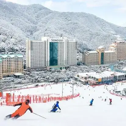 [당일가능] 4시간 주중 리프트장비렌탈 비발디파크