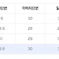 엘무드 아키라 플레어 딥블루 48사이즈 판매