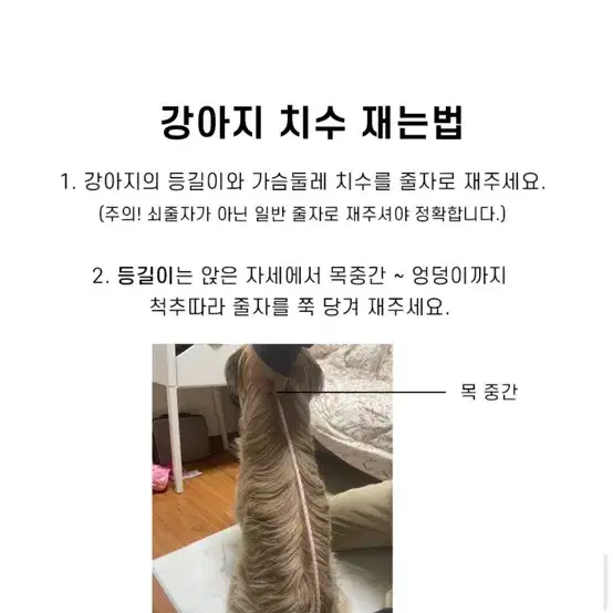 견체공학 어부바3 XL (펜지베이지) + 견체공학 궁쿠