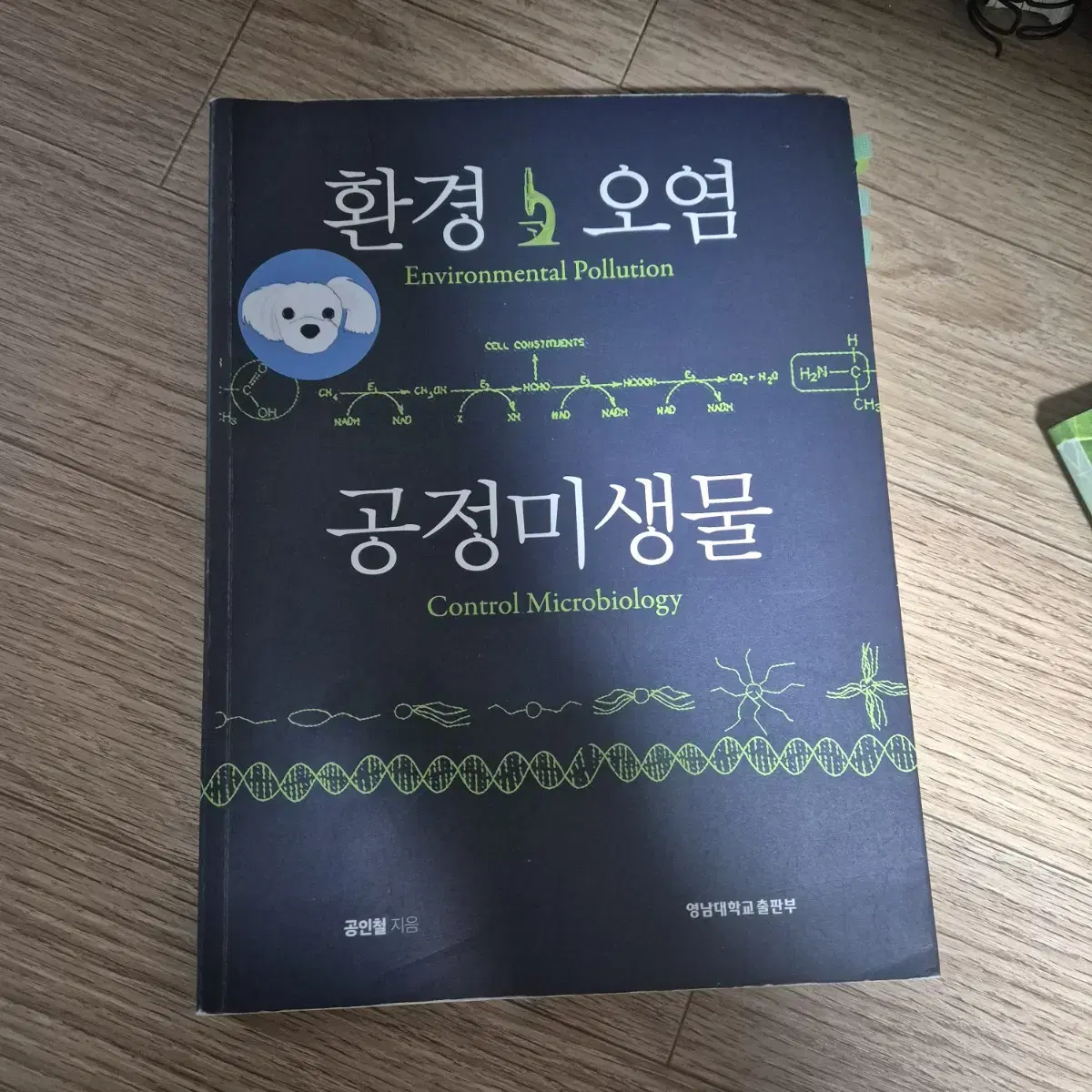 환경미생물학 책 팝니다