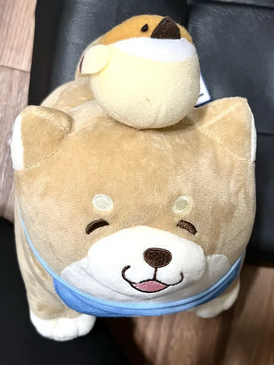 모찌시바 모나카 일본 정품 인형 25cm 새상품