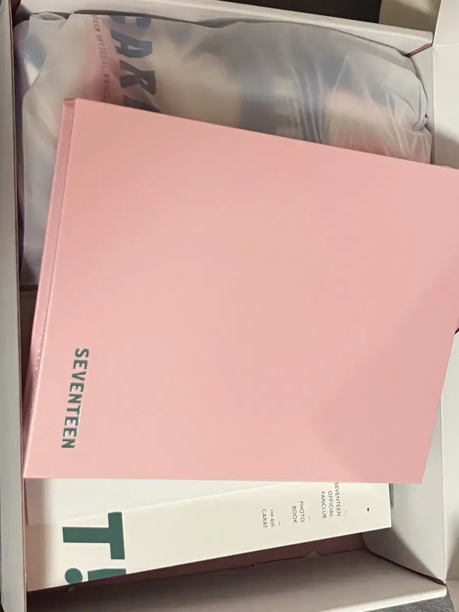 Seventeen Official Carat 4-Piece Kit