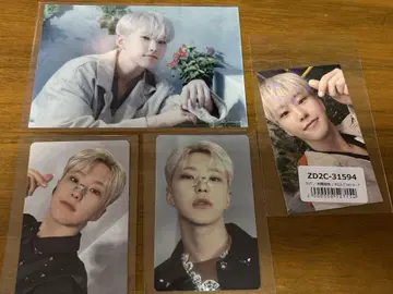 seventeen 세부치 소비기한 호시 트레이딩 카드