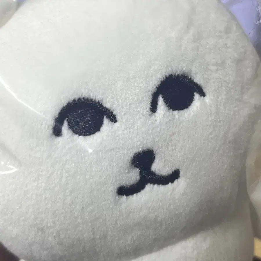 그윽한 농담곰