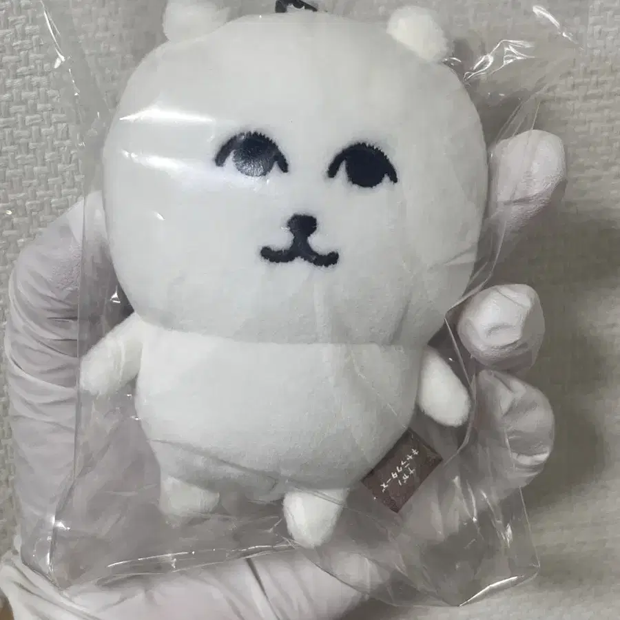 그윽한 농담곰