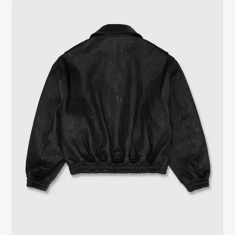 얼바닉30 A-2 Leather Jacket (Black)