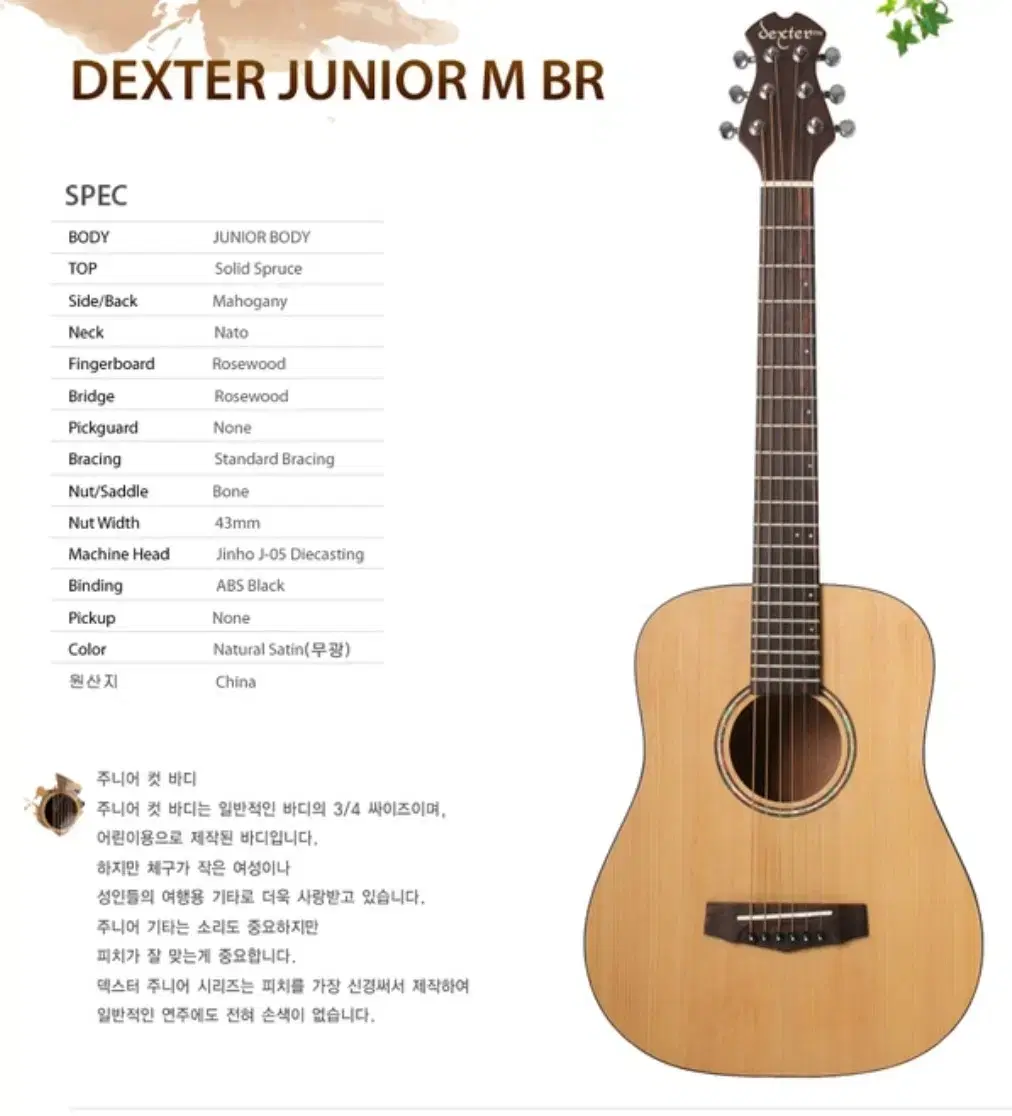 덱스터 DEXTER 통기타 JUNIOR SOP