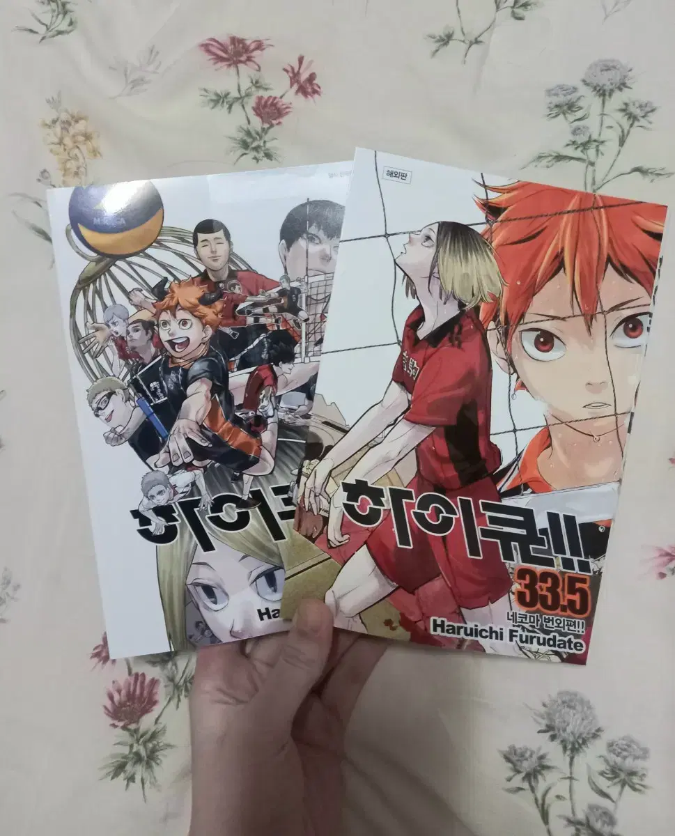 Haikyuu Junkyard's Final Battle 33.5 volumes sold in bulk