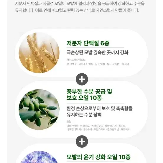 로델리아 트린트먼트 1000ml