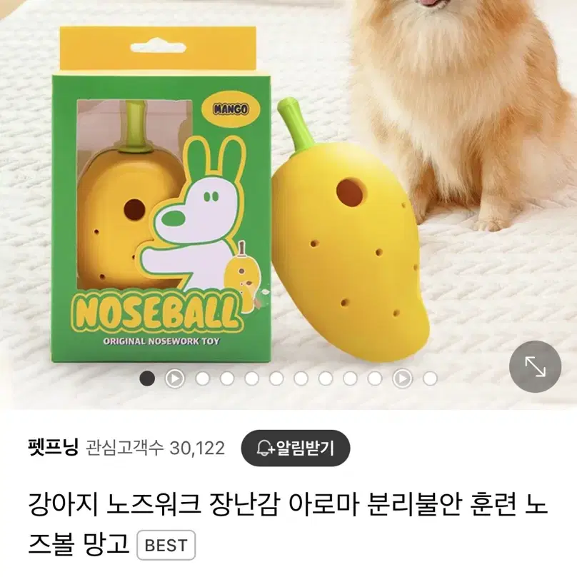 노즈볼 망고 강아지 노즈워크 장난감 아로마 분리불안