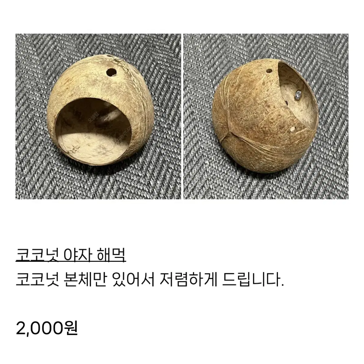 햄스터 용품) 코코넛 야자 해먹