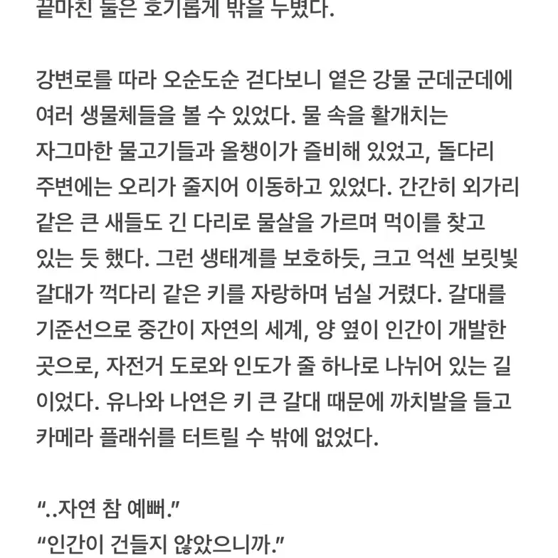 글 커미션 받아용