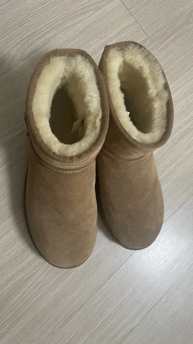 ugg 어그 250