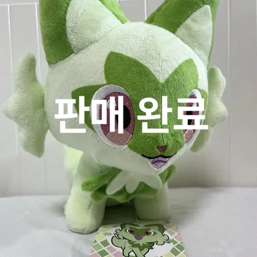 판완)포켓몬 나오하 봉제인형 25cm