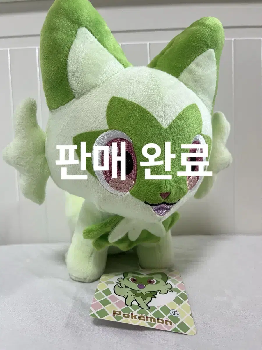 판완)포켓몬 나오하 봉제인형 25cm