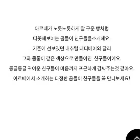 (새상품) 아르떼알파카 브레드테디베어(m사이즈, 브라운색상)