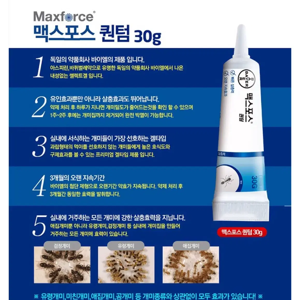 맥스포스 퀀텀 30g 개미퇴치약 개미약