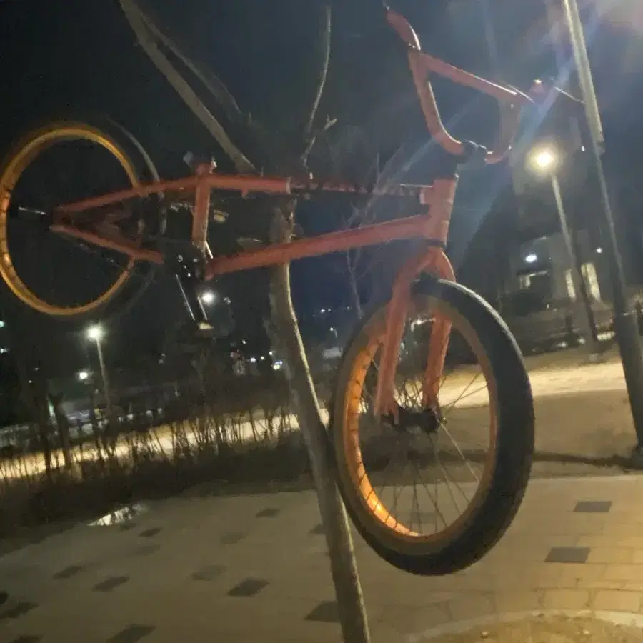 도난방지 (everyday bmx)