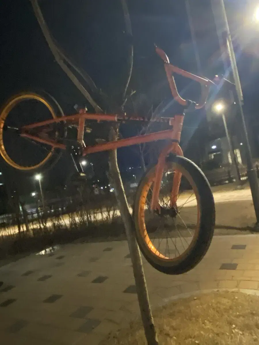 도난방지 (everyday bmx)