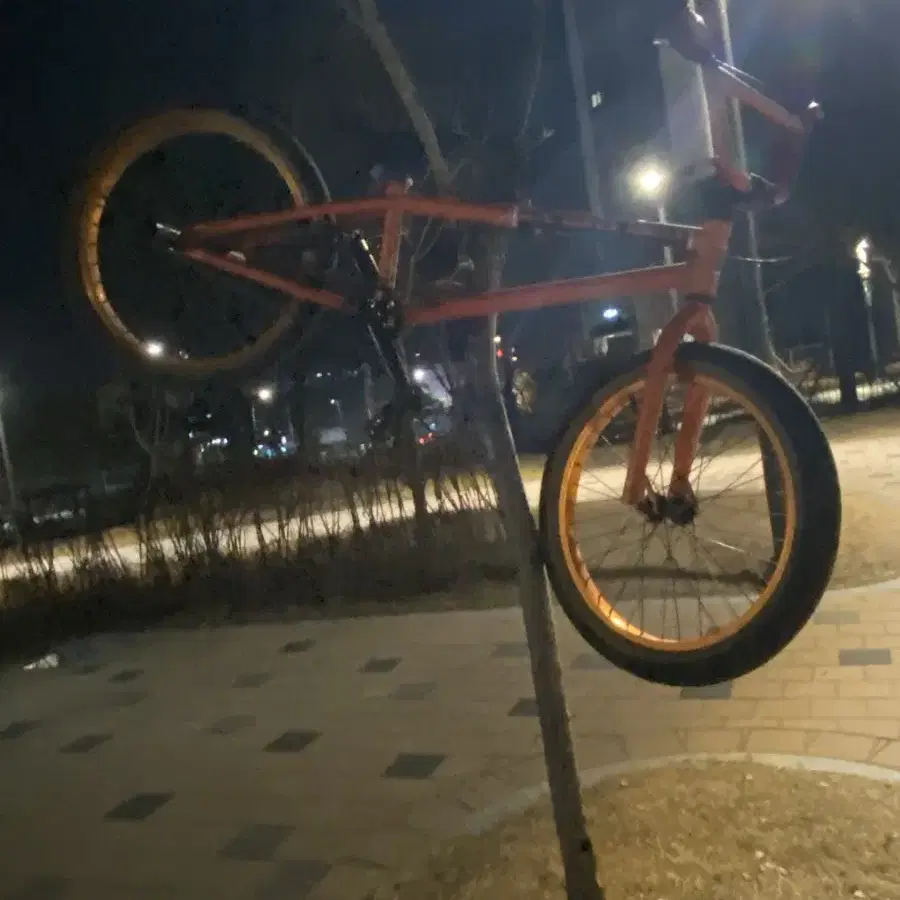 도난방지 (everyday bmx)