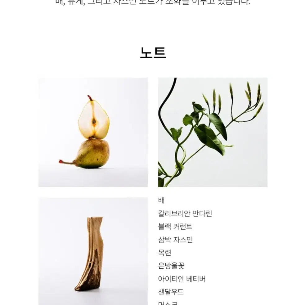 추후수령)로에베 아이레 수틸레사 오 드 뚜왈렛 50ml