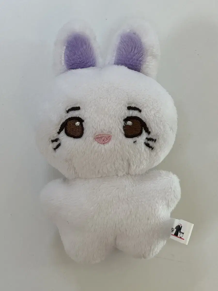 아이유 10cm 인형 징토끼 양도