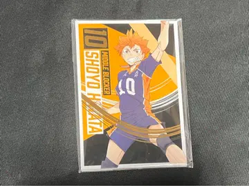 하이큐 합동연습회 2022 엽서 세트 영산 월섬 오오카와 검은 꼬리