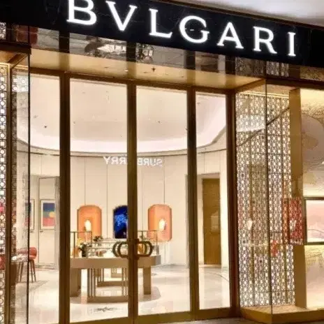 BVLGARI  불가리  스프링 목걸이