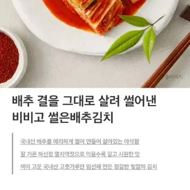 비비고 썰은배추김치 3KG