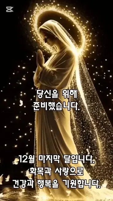 내셔널지오그래픽20인치여행용캐리어/확장형