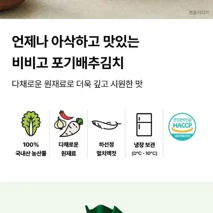 비비고 포기 배추김치 5KG