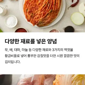 비비고 포기 배추김치 5KG