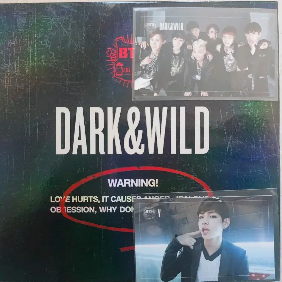 방탄 DARK&WILD 포카 태형