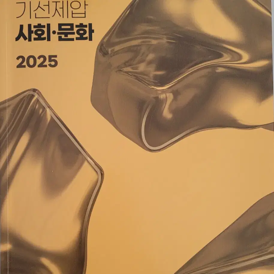 2025 최적 사회문화 기선제압