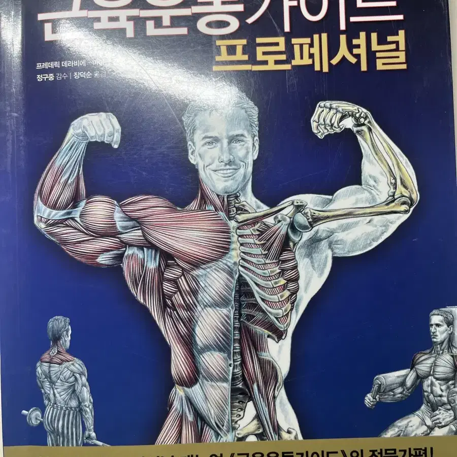 근육운동가이드 운동책 비기너,프로