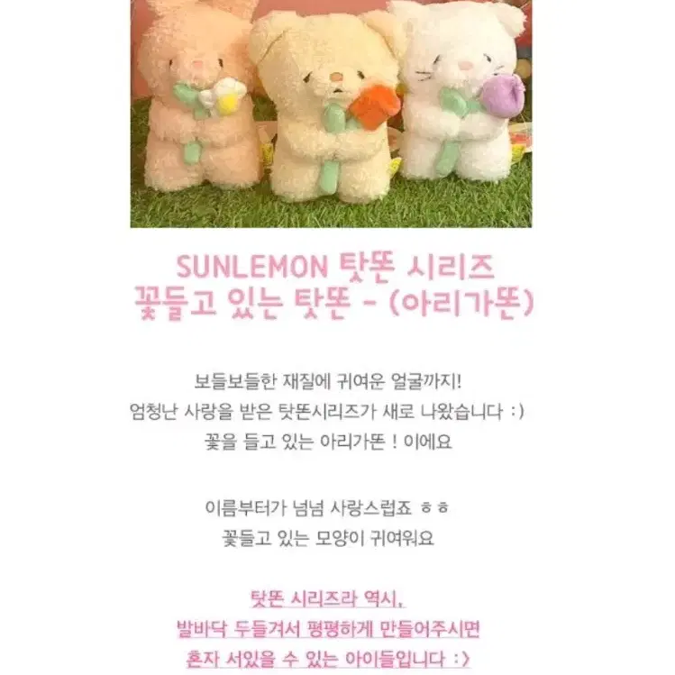 선레몬 sunlemon 탓똔시리즈 토끼 아리가똔