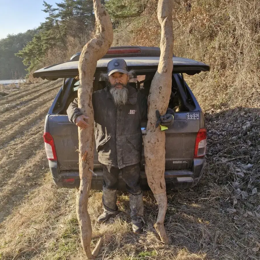 [방송출연] 진한 자연산 칡즙 판매합니다.