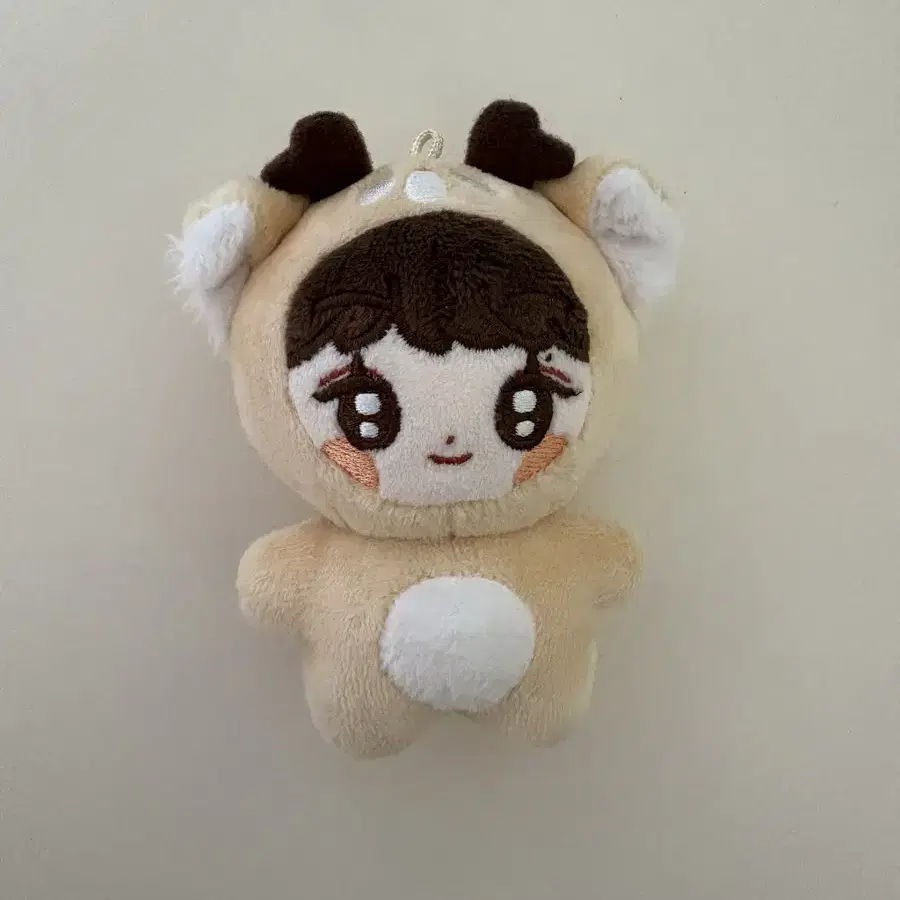 라이즈 성찬 10cm 인형 뽀찬이 비공굿 양도