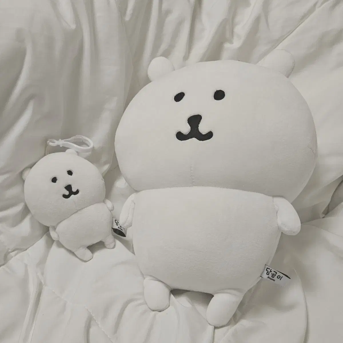 농담곰30cm인형키링8누이치이카와나가노파우치산리오고로케그릇