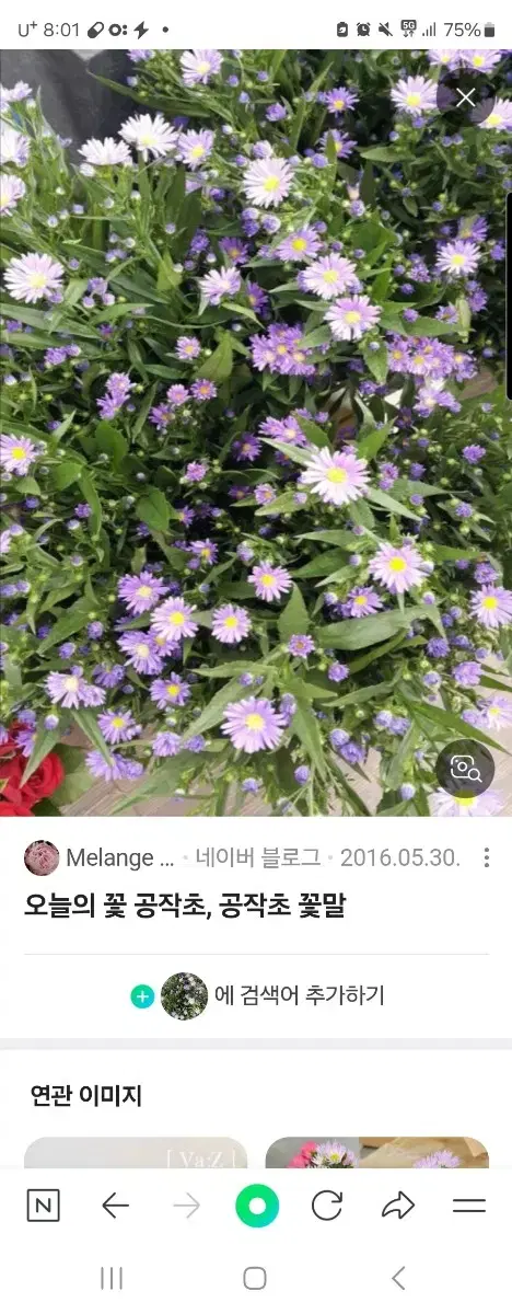 스벅아메리카노