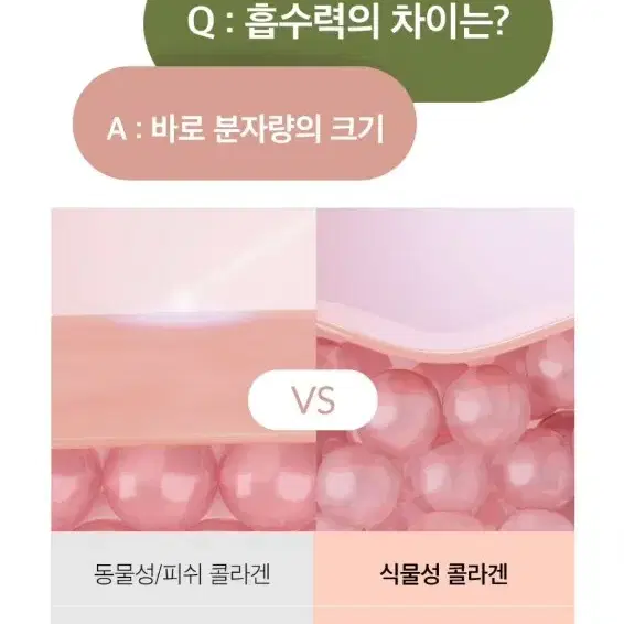 이너스빗 콜라겐 3300 20g 12포 젤리 저분자 샤인머스켓 미즈온