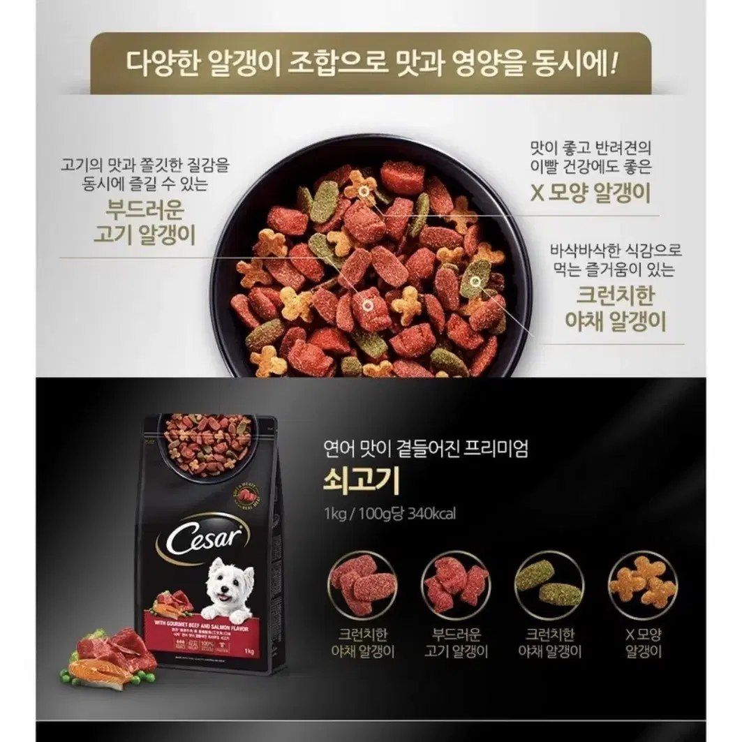 시저사료 1kg(소고기+연어)